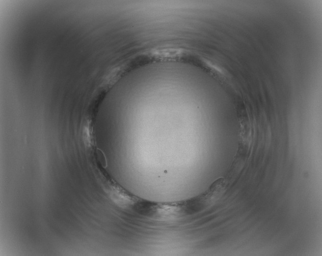 X0000064040718200602101424