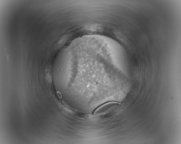 X0000064040719200602101424