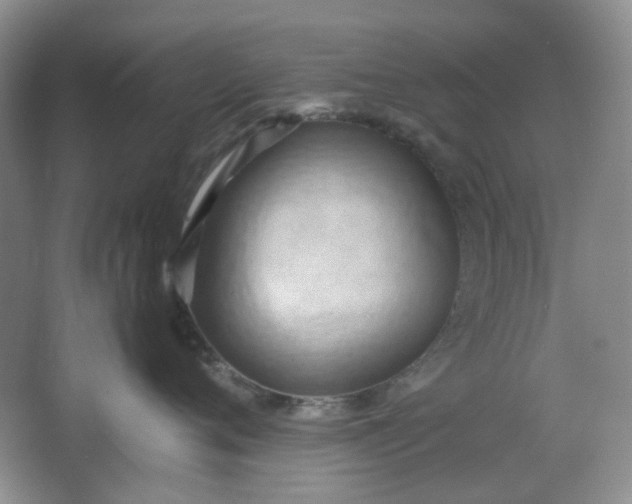 X0000064040720200602101424