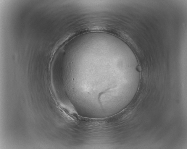 X0000064040721200602101424