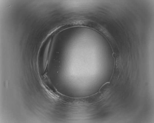 X0000064040722200602101424