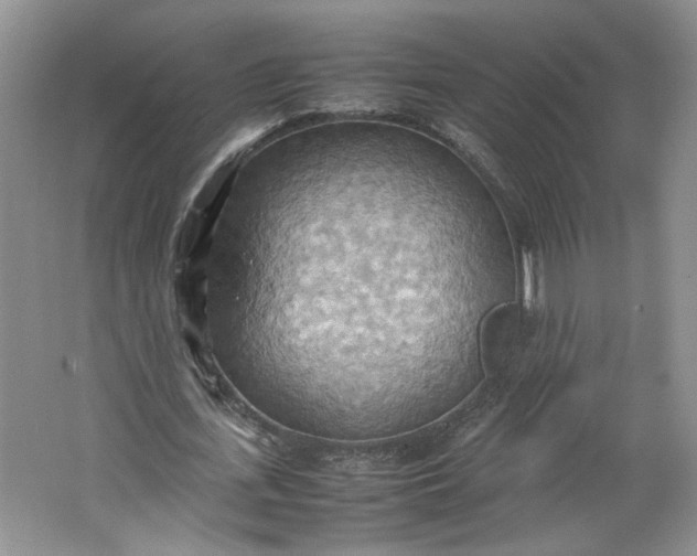 X0000064040723200602101424