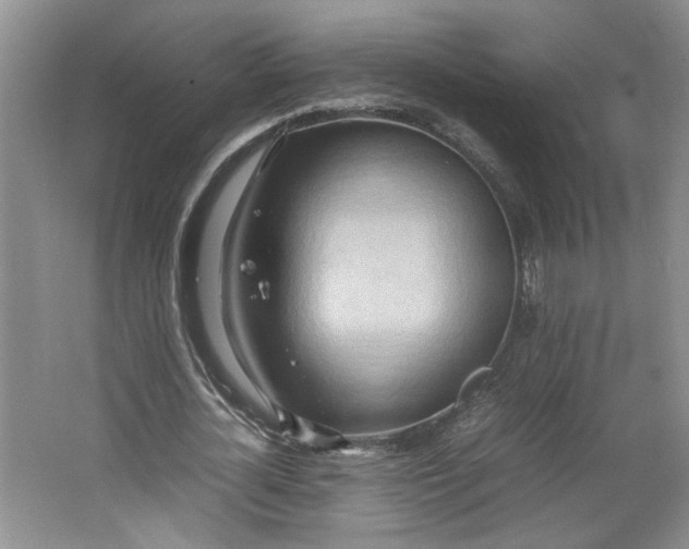 X0000064040724200602101424