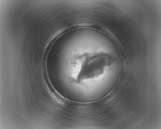 X0000064040725200602101424