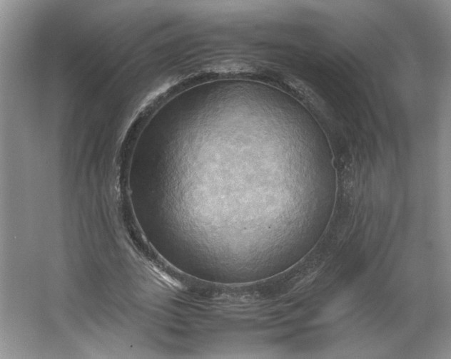 X0000064040727200602101424