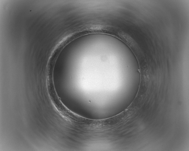 X0000064040728200602101424