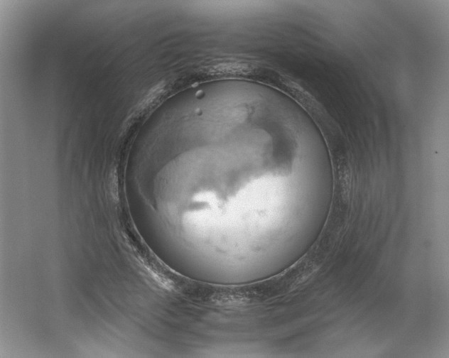 X0000064040729200602101424