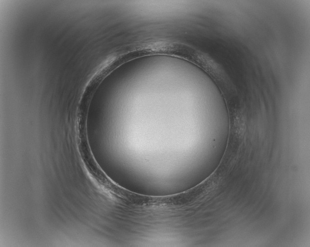 X0000064040730200602101424