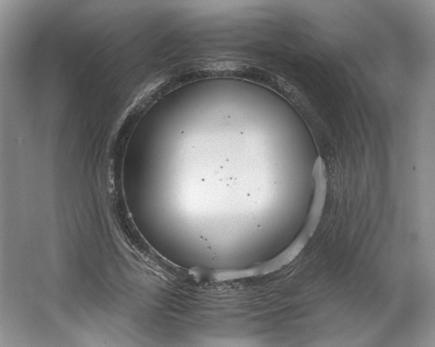 X0000064040731200602101424