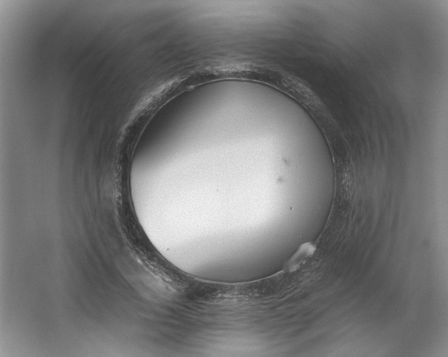 X0000064040732200602101424