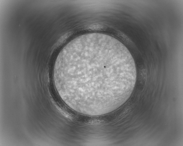 X0000064040734200602101424