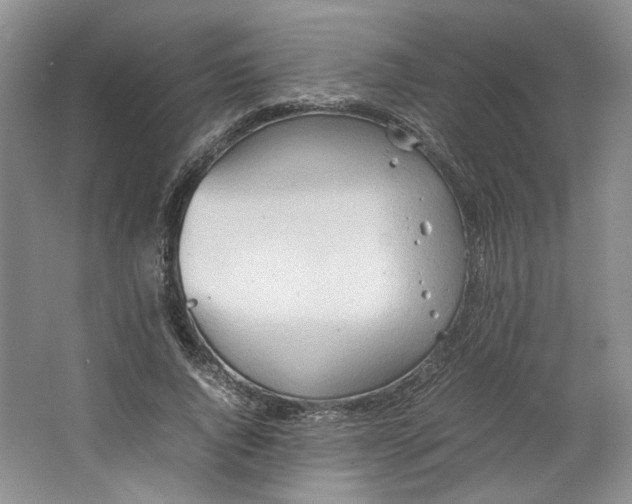 X0000064040736200602101424