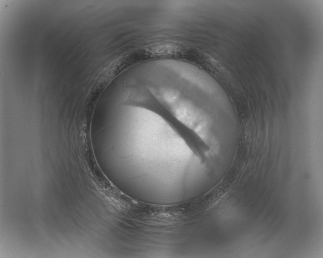 X0000064040737200602101424