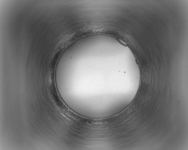 X0000064040740200602101424