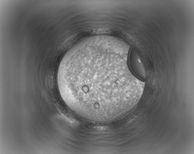 X0000064040741200602101424