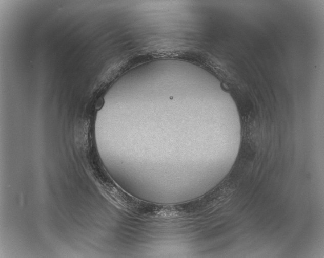 X0000064040742200602101424