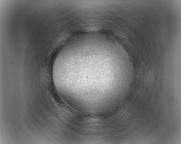 X0000064040743200602101424