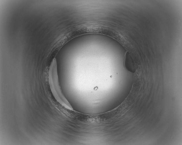 X0000064040744200602101424