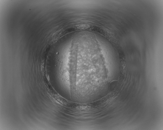 X0000064040745200602101424