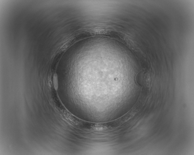 X0000064040746200602101424