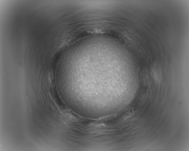 X0000064040747200602101424