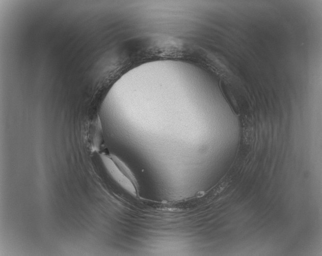 X0000064040748200602101424