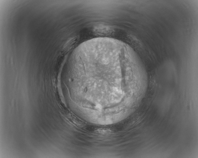 X0000064040749200602101424