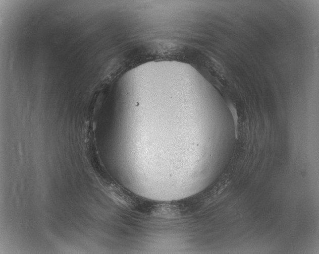 X0000064040750200602101424