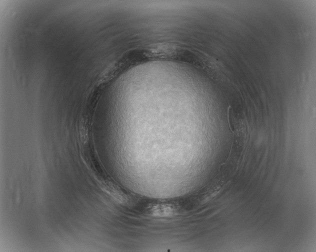 X0000064040751200602101424