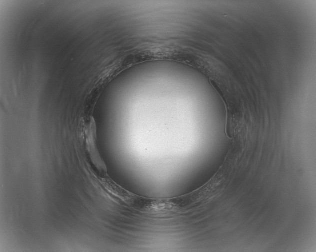 X0000064040752200602101424