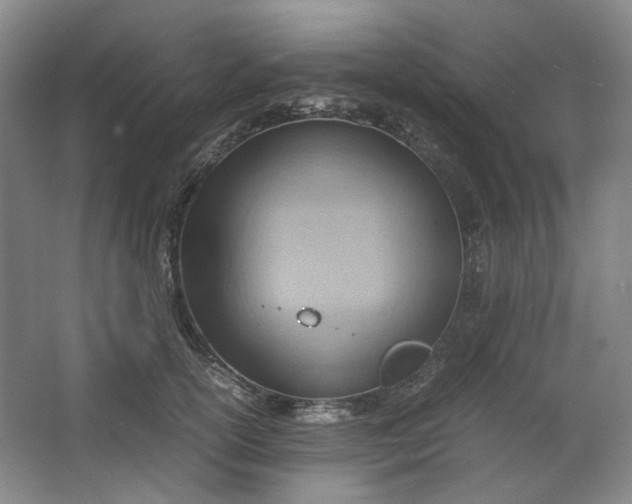 X0000064040754200602101424