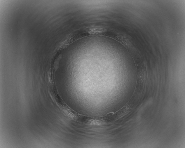 X0000064040755200602101424