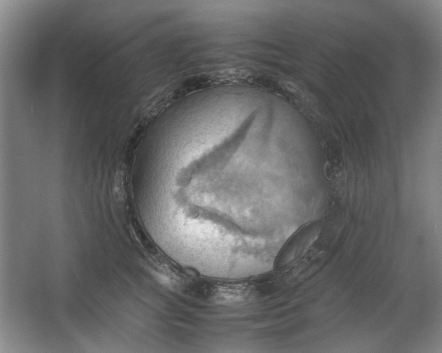 X0000064040757200602101424