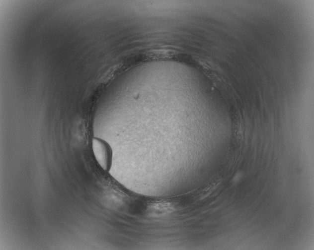 X0000064040759200602101424