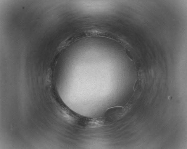 X0000064040760200602101424