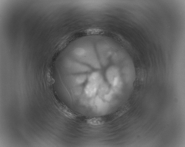 X0000064040761200602101424