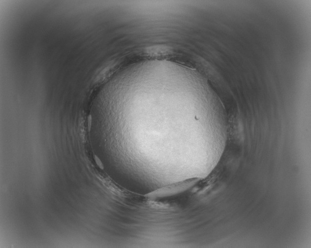 X0000064040762200602101424