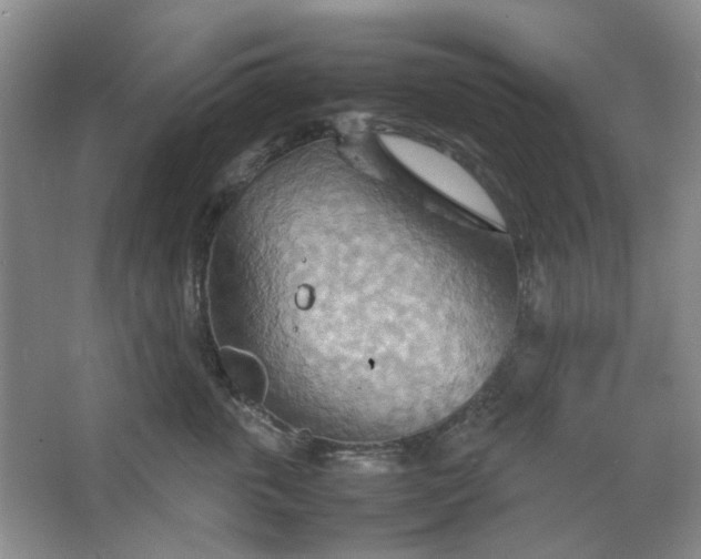 X0000064040763200602101424