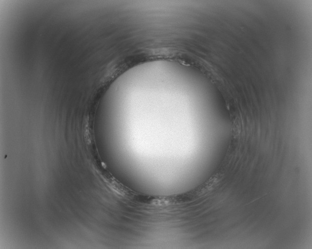 X0000064040764200602101424