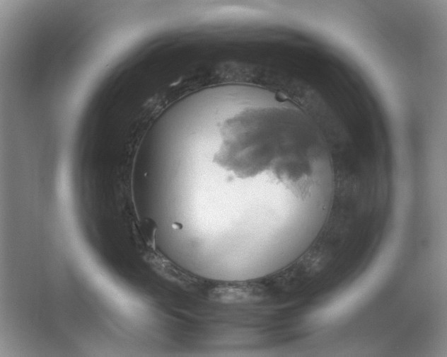 X0000064040765200602101424