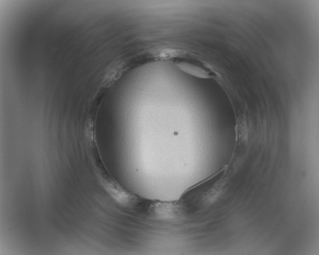 X0000064040766200602101424