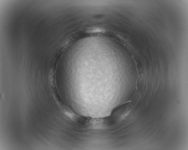 X0000064040767200602101424