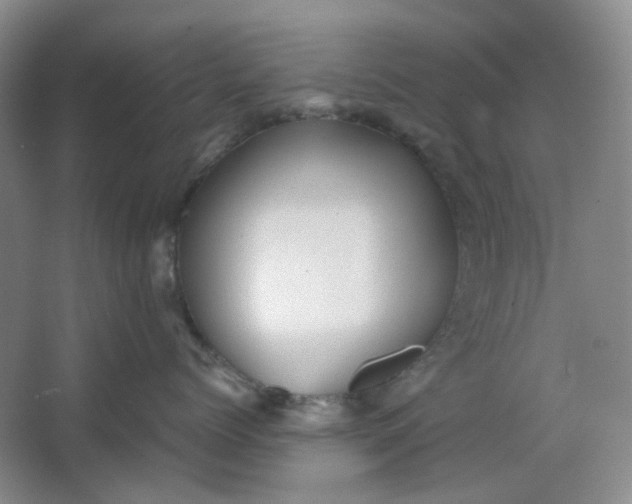 X0000064040768200602101424