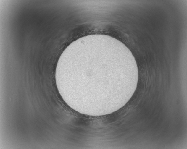 X0000064040769200602101424