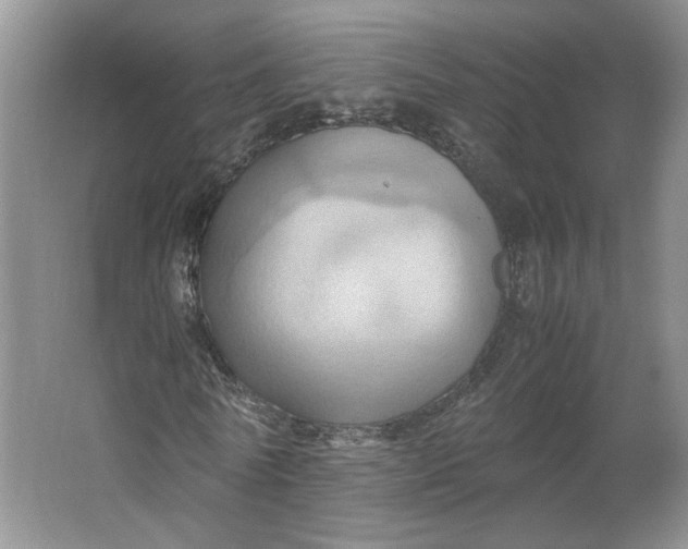 X0000064040770200602101424