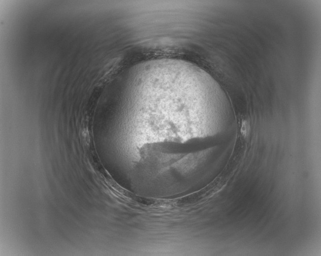 X0000064040771200602101424