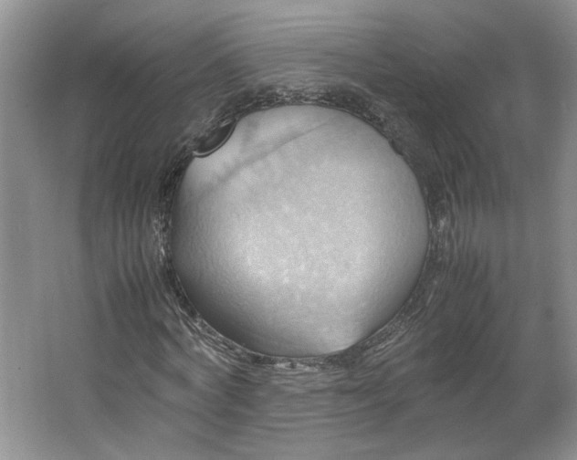 X0000064040772200602101424