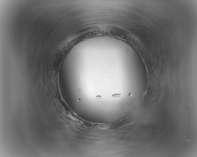 X0000064040773200602101424