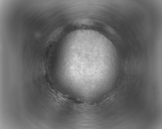 X0000064040774200602101423