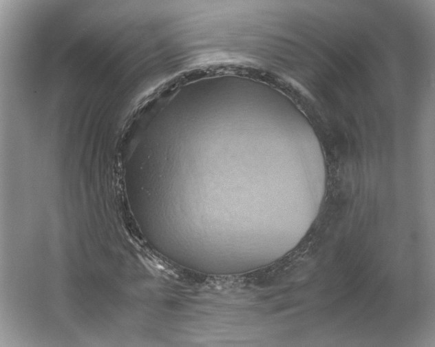 X0000064040775200602101423